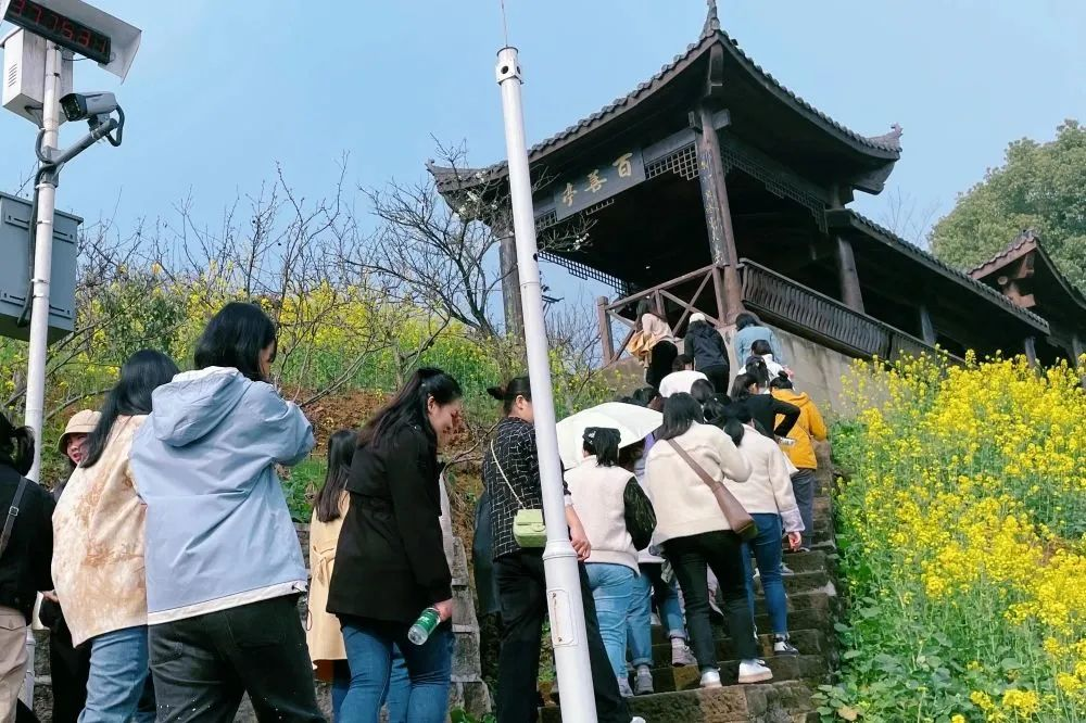 獻禮3.8節|勇做攀登者，奮進新未來