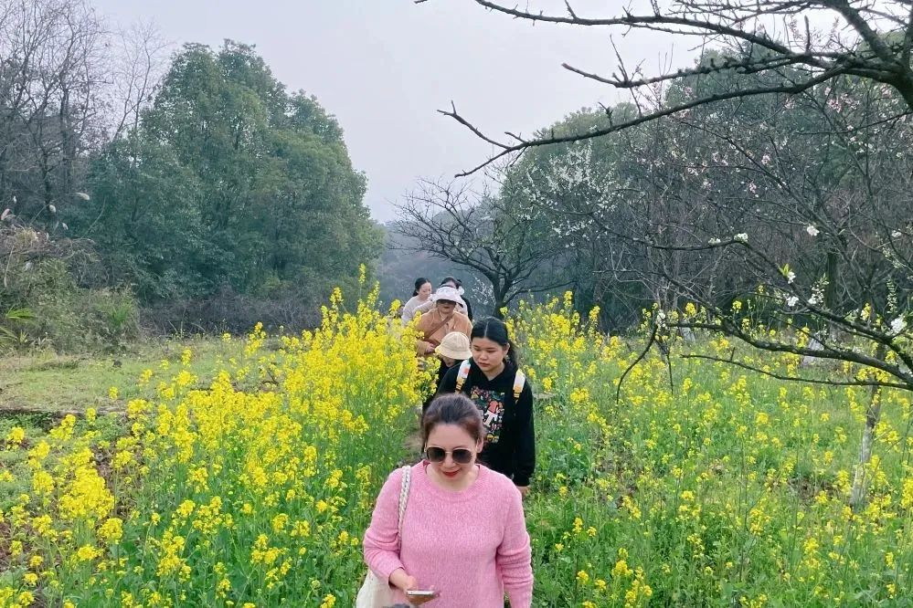 獻禮3.8節|勇做攀登者，奮進新未來